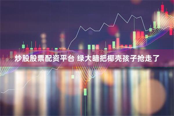 炒股股票配资平台 绿大暗把椰壳孩子抢走了