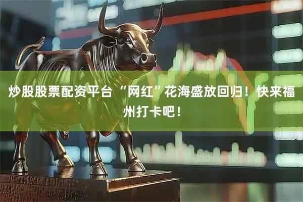 炒股股票配资平台 “网红”花海盛放回归！快来福州打卡吧！